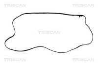 Garnitură, vană ulei (AMT) TRISCAN, Cod: 8900 11848