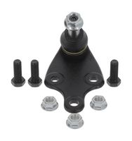 Trag-/Führungsgelenk