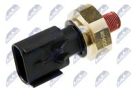Article Picture