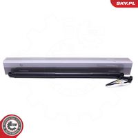 Electric Motor, tailgate