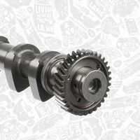 Thumbnail - Nokkenas - HV0415 - ET ENGINETEAM