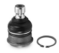 Trag-/Führungsgelenk