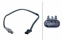 ламбда-сонда