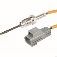 Sensor, Abgastemperatur