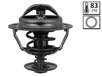Thermostat, Kühlmittel
