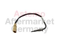 Sensor, Abgastemperatur
