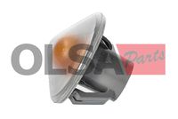 OLSA Aftermarket Knipperlicht 3