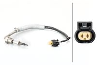 Sensor, Abgastemperatur