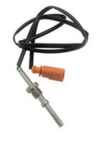 Sensor, Abgastemperatur