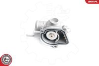 Thermostat, coolant