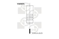 Izplūdes vārsts V165071 BGA