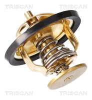 Thermostat, Kühlmittel