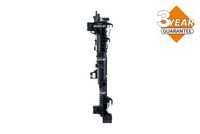Article Picture