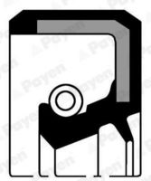 Wellendichtring, Nockenwelle