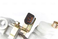 Article Picture