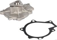 Wasserpumpe, Motorkühlung