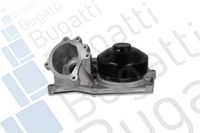 Wasserpumpe, Motorkühlung