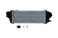 Intercooler, compresor KAMOKA, Cod: 7750150