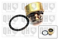 Thermostat, Kühlmittel