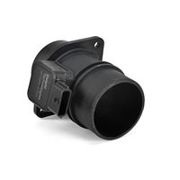 DELPHI Luchtmassameter 6