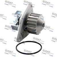 Wasserpumpe, Motorkühlung