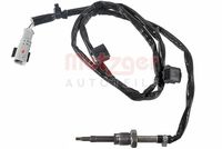Sensor, Abgastemperatur