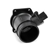 DELPHI Luchtmassameter 8