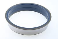 Wellendichtring, Radnabe