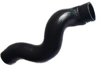 Ladeluftschlauch