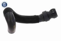Hoses/Pipes