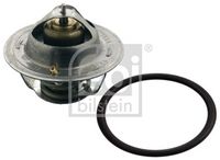 Thermostat, Kühlmittel