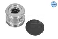 Alternator Freewheel Clutch