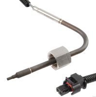 Sensor, Abgastemperatur
