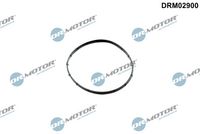 Blīve, Vakuumsūknis DRM02900 Dr.Motor Automotive