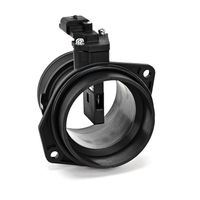 DELPHI Luchtmassameter 8