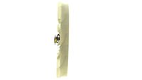 Thumbnail - Koelventilatorwiel - CFF521000P - MAHLE