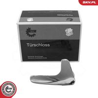 Article Picture