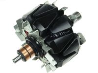 Rotor, alternator