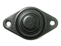 Palaišanas ierīces vāks, Karburators SBR0055 AS-PL