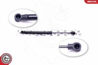 Gas Spring, boot/cargo area