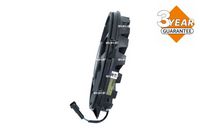 Article Picture