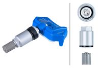 Radsensor, Reifendruck-Kontrollsystem