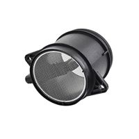 DELPHI Luchtmassameter 5