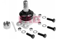 Trag-/Führungsgelenk