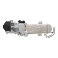 Modul-EGR VALEO, Cod: 703298