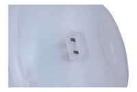 Article Picture