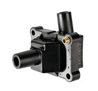 Bobina inductie VALEO, Cod: 245169