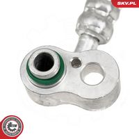 Article Picture