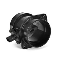 DELPHI Luchtmassameter 6