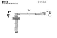 Set fise bujii TESLA, Cod: T917B